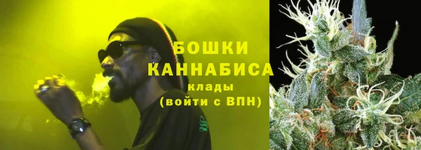 стафф Зерноград