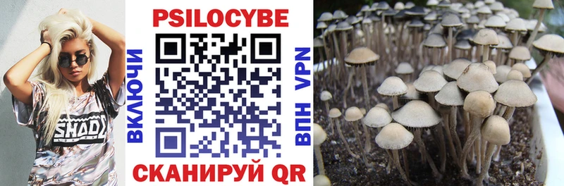 blacksprut ссылки  Пятигорск  Галлюциногенные грибы Psilocybe  цены  